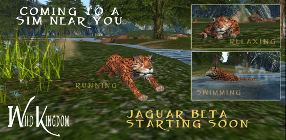 The cats are out of the back and coming to a sim near you.