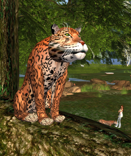 The tree has 3 spots the cats can hang out in.