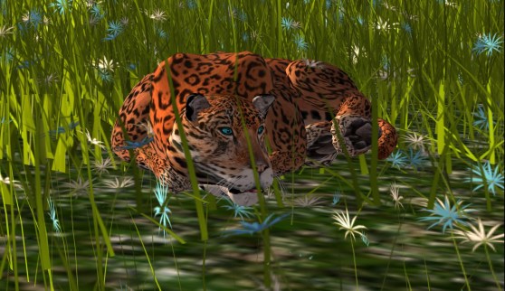 These flowers match my eyes.