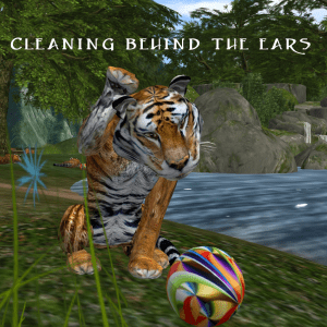 Getting ready for there close up.