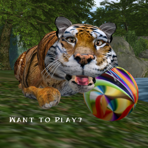 Tigers are a happy cat that loves to play