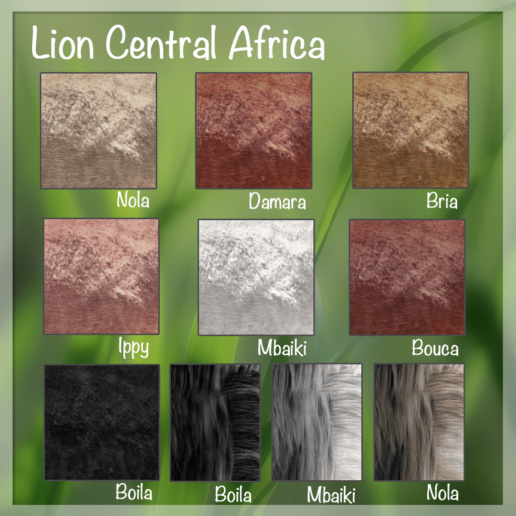 north-central-lions