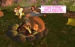 Taken by Nikita Mortenwold