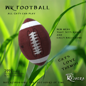 Celebrate the Football Season with a WK Football for your cats