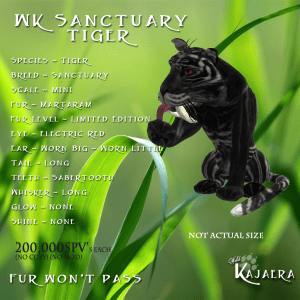 WK Sanctuary Tiger