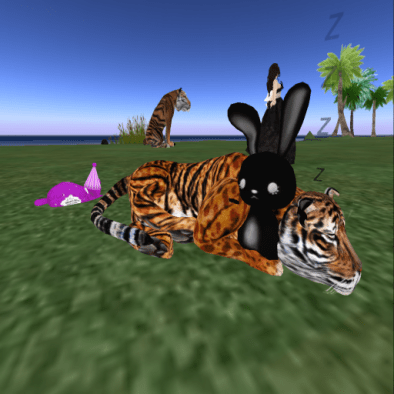 Aishiteru the Jager with his snuggle bunny