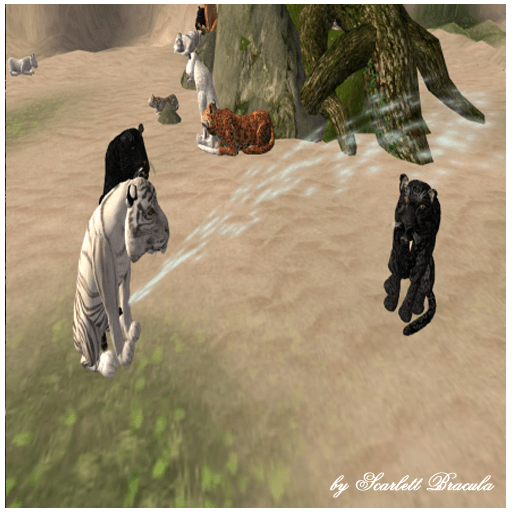 Tiger and a sprinkler