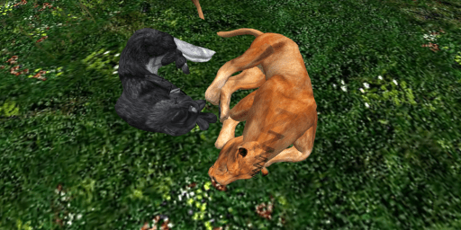 WK Dogs and Cat DO get along