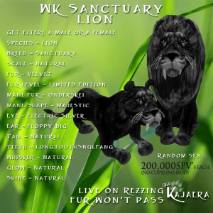 WK Sanctuary Lion