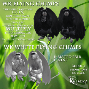 WK Chimps