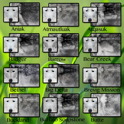 CID FUR TRAIT An - Bu