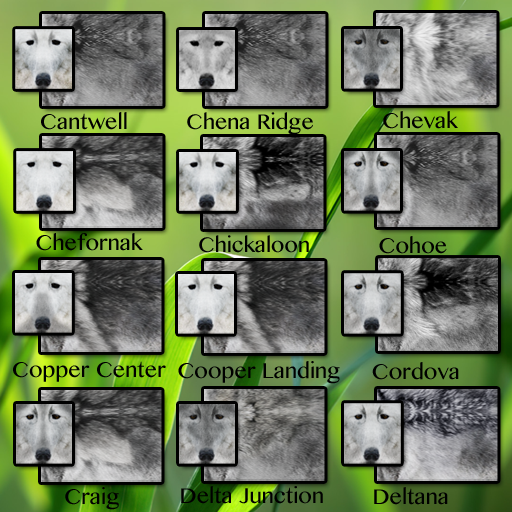 CID FUR TRAIT Ca - De