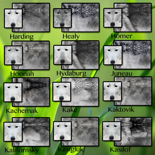 CID FUR TRAIT Ha - Ka