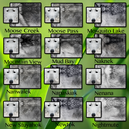 CID FUR TRAIT Mo= Ni