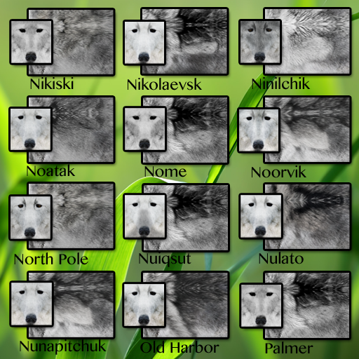 CID FUR TRAIT Ni - Pa