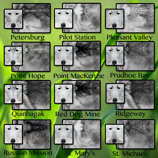 CID FUR TRAIT Pe - St.