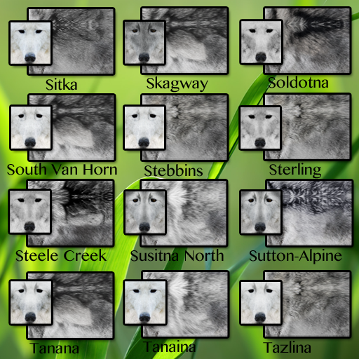 CID FUR TRAIT Si - Ta