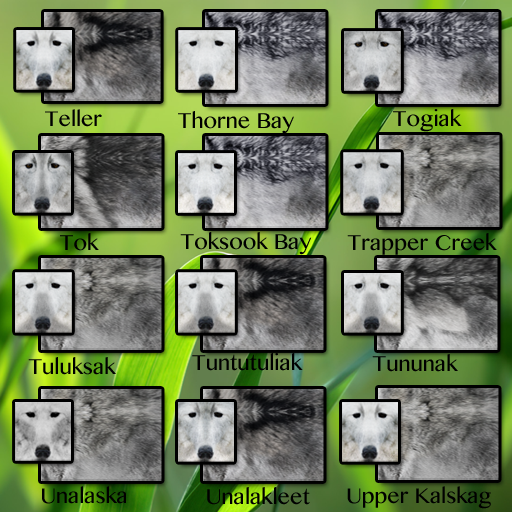 CID FUR TRAIT Tei - Up