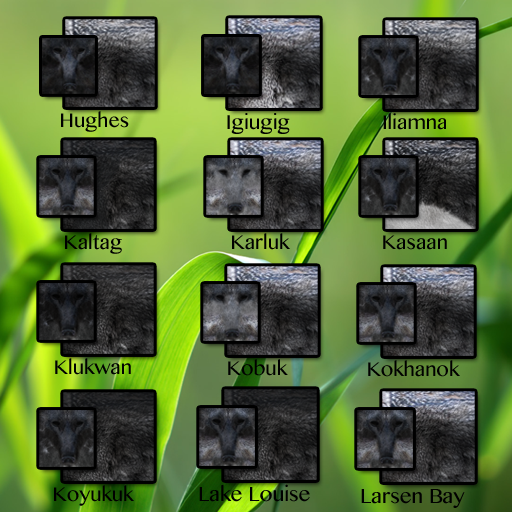 Gray Wolf Furs CP2 6