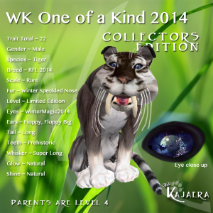 WK OOAK 2014