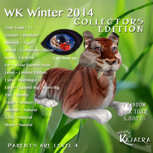 WK WInter CE 2014K