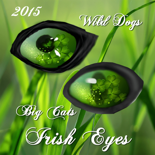 Irish Eyes 2015