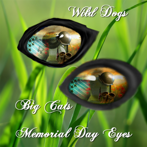 MemorialDay Eyes 2015