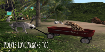 Wild Dogs and Big Cats Love their WK Wagons 