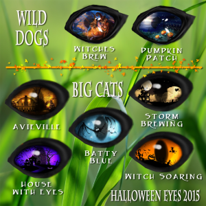 Halloween Eyes 2015
