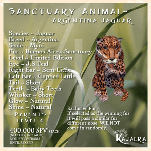 Sanctuary Argentina Jag