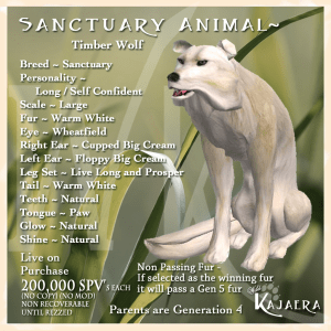 Sanctuary Timber Wolf