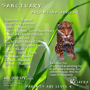 SanctuaryCat ArgentinafinalFix