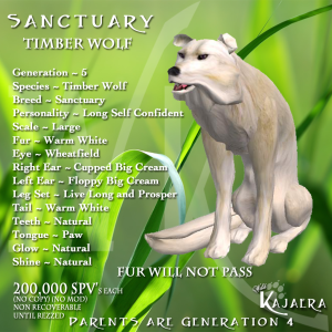 Timber Wolf Sanctuary