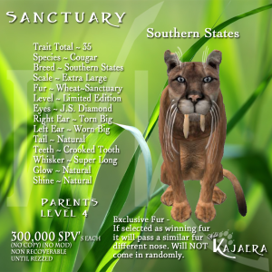 Sanctuary Cougar S States