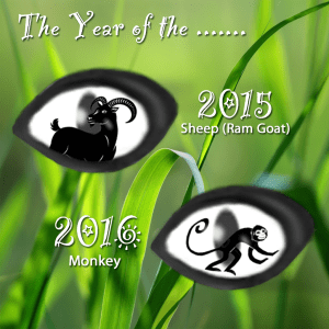 The year of Eyes