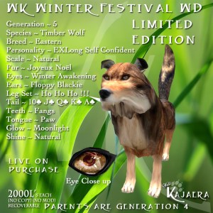 Winter Festival Wild Dog