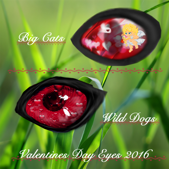 Valentines Eyes 2016