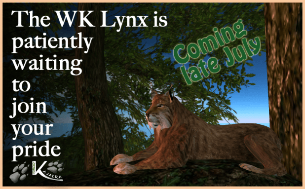 The Lynx is planned to join the WK Wild Kajaera Animal Line up in Late July 2016
