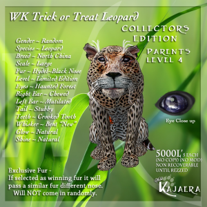 trick-or-treat-leop-2016