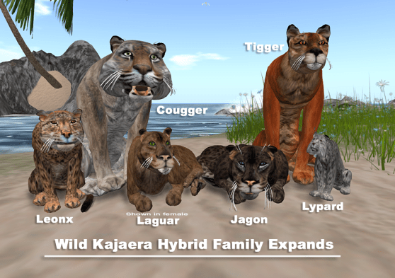 hybrid-family-2