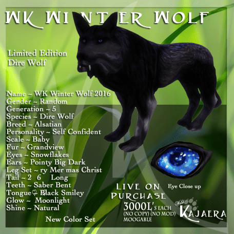 WK Winter Wolf.png