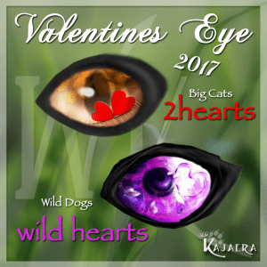 valentines-eye-2017