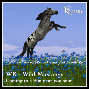 Horse coming soon-Rearing