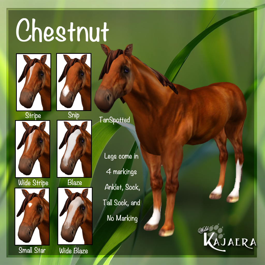 Chestnut