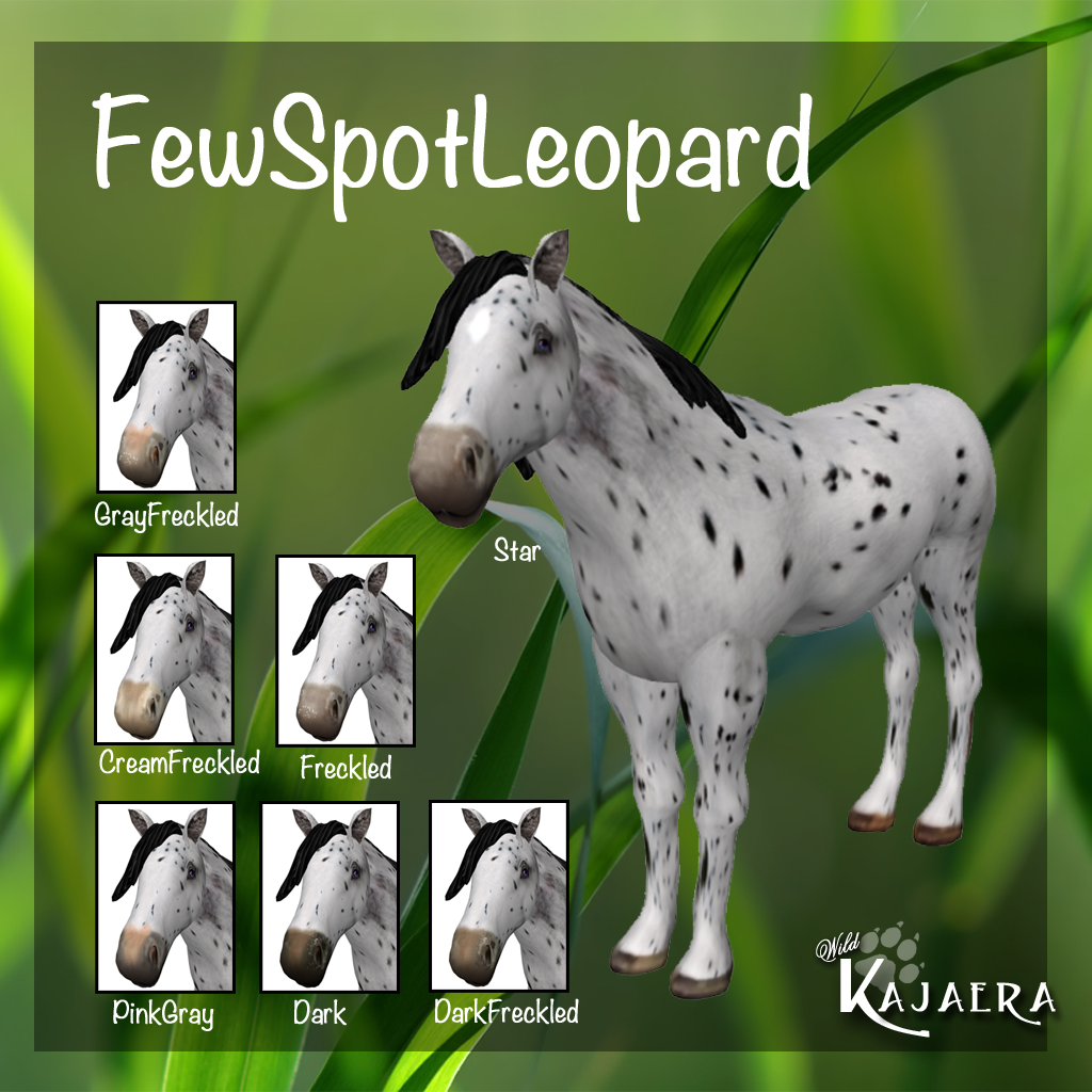 FewSpotLeopard