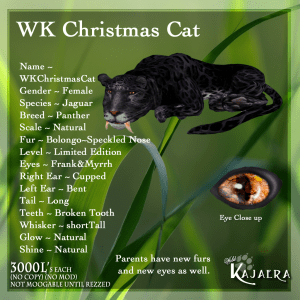 WKXmasJag Purple2017