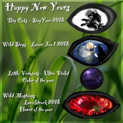 New Years Day Eyes 2018