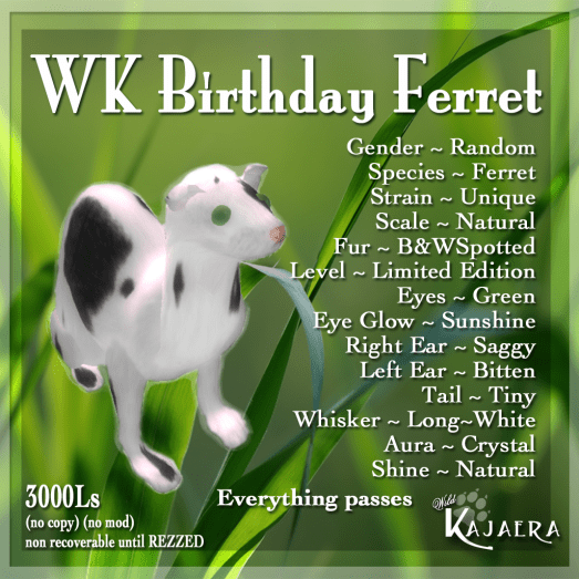 WK 5th Birthday Ferret.png