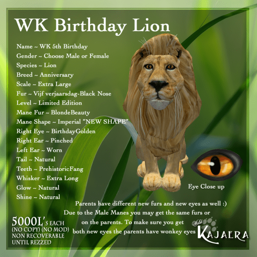 WK 5th Birthday Lion.png