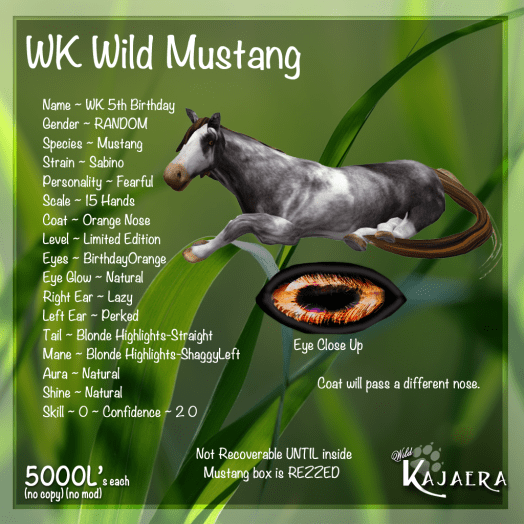 WK 5th Birthday Mustang.png